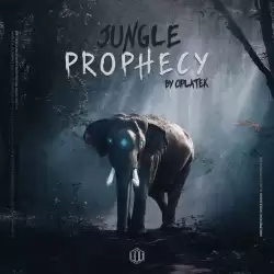 Ciplatek - Jungle Prophecy