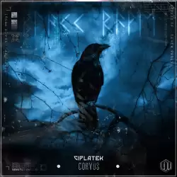 Ciplatek - Corvus